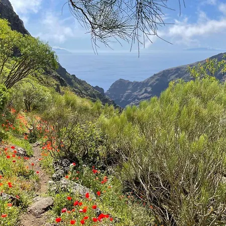 Bellarosa Sunset Ocean View In With Airco, Garage